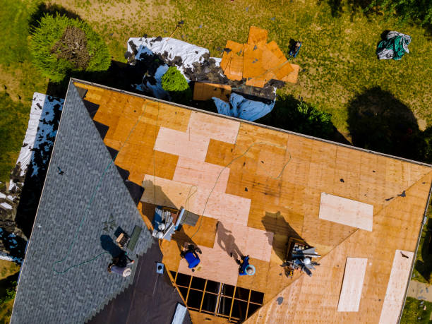 Roof Gutter Cleaning in Fort Denaud, FL