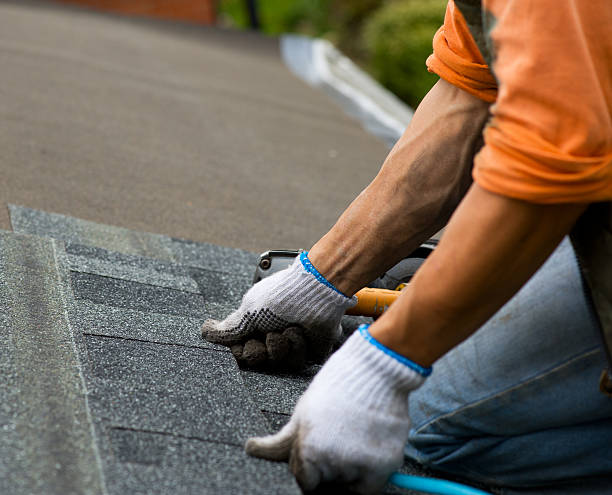 Best Flat Roof Repair Services  in Fort Denaud, FL